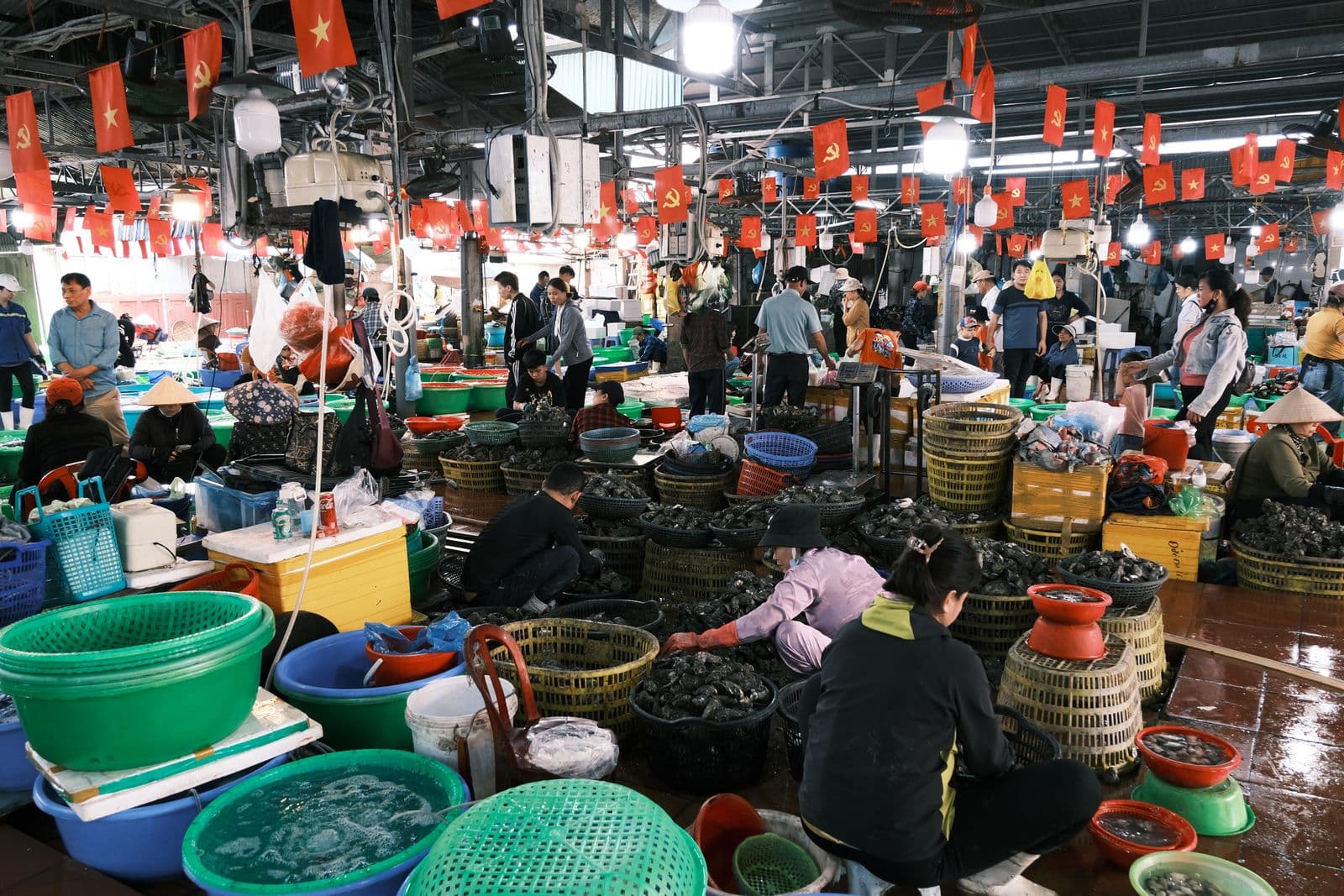 ตลาดอาหารทะเลสดสีสันสดใสในเวียดนาม