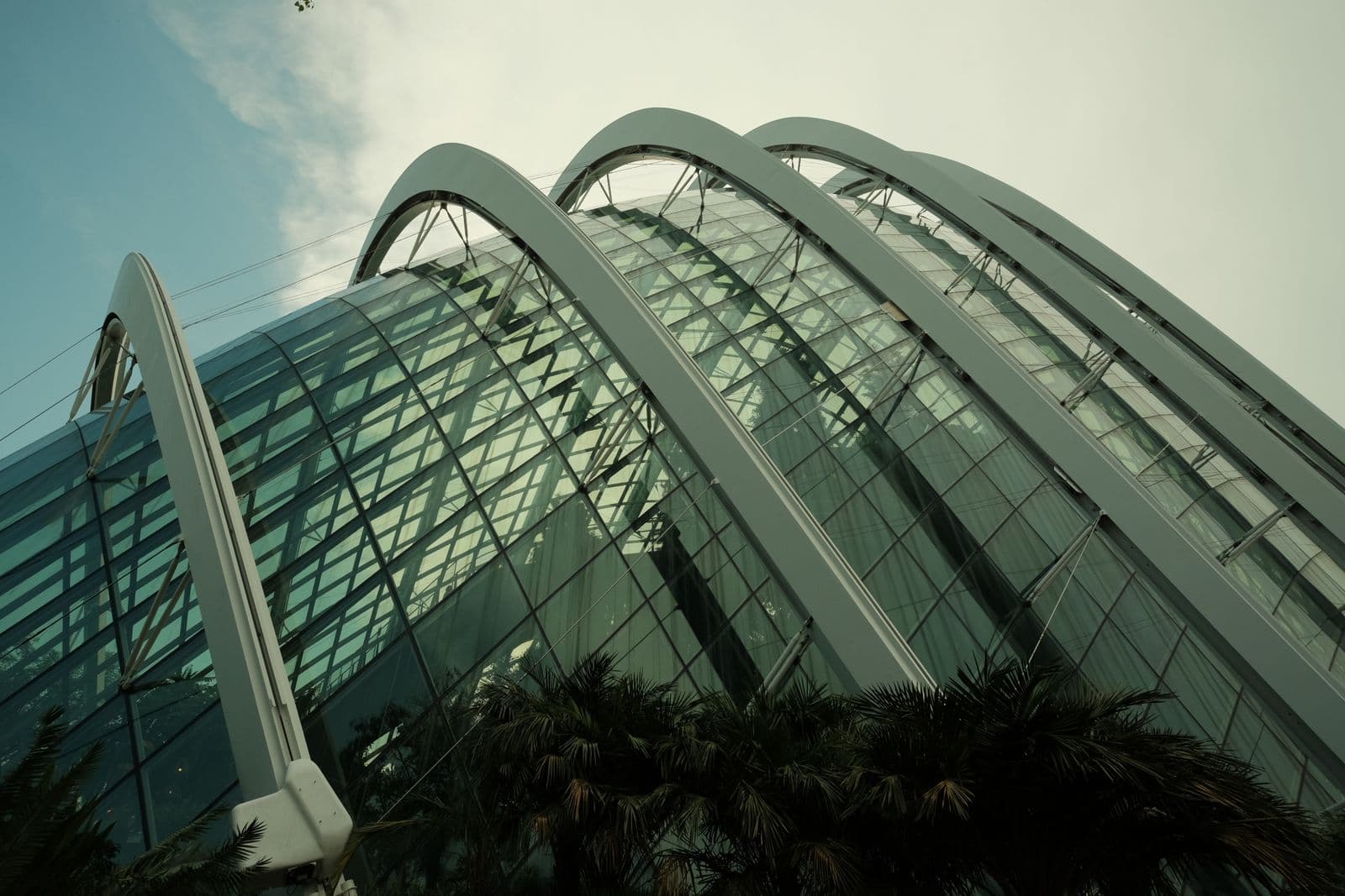 สวนการ์เดนส์ บาย เดอะ เบย์ สิงคโปร์